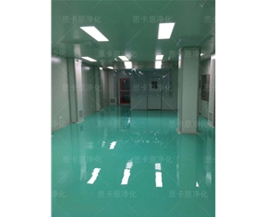 凈化車間效果